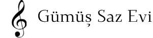 Footer Logo